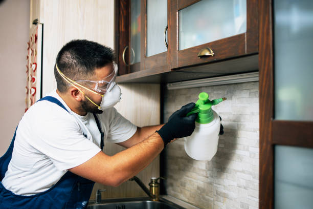 Reliable Tiburon, CA Pest Control Solutions