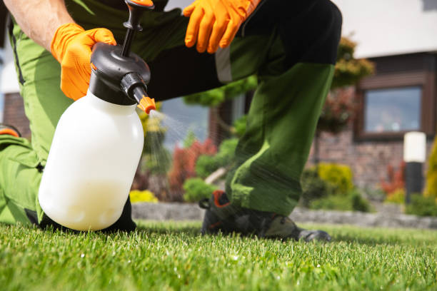Best Pest Removal Services  in Tiburon, CA