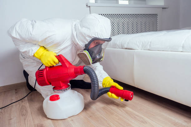 Best Wasp Removal Services  in Tiburon, CA