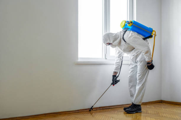 Best Cockroach Control Services  in Tiburon, CA