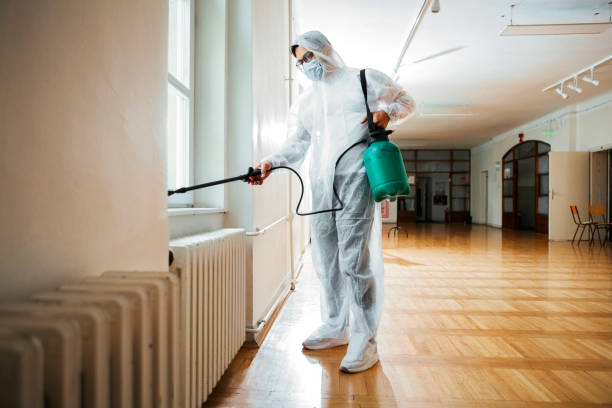 Best Termite Control Services  in Tiburon, CA